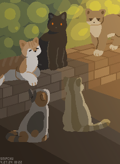 A horde of cats sitting under a street light.